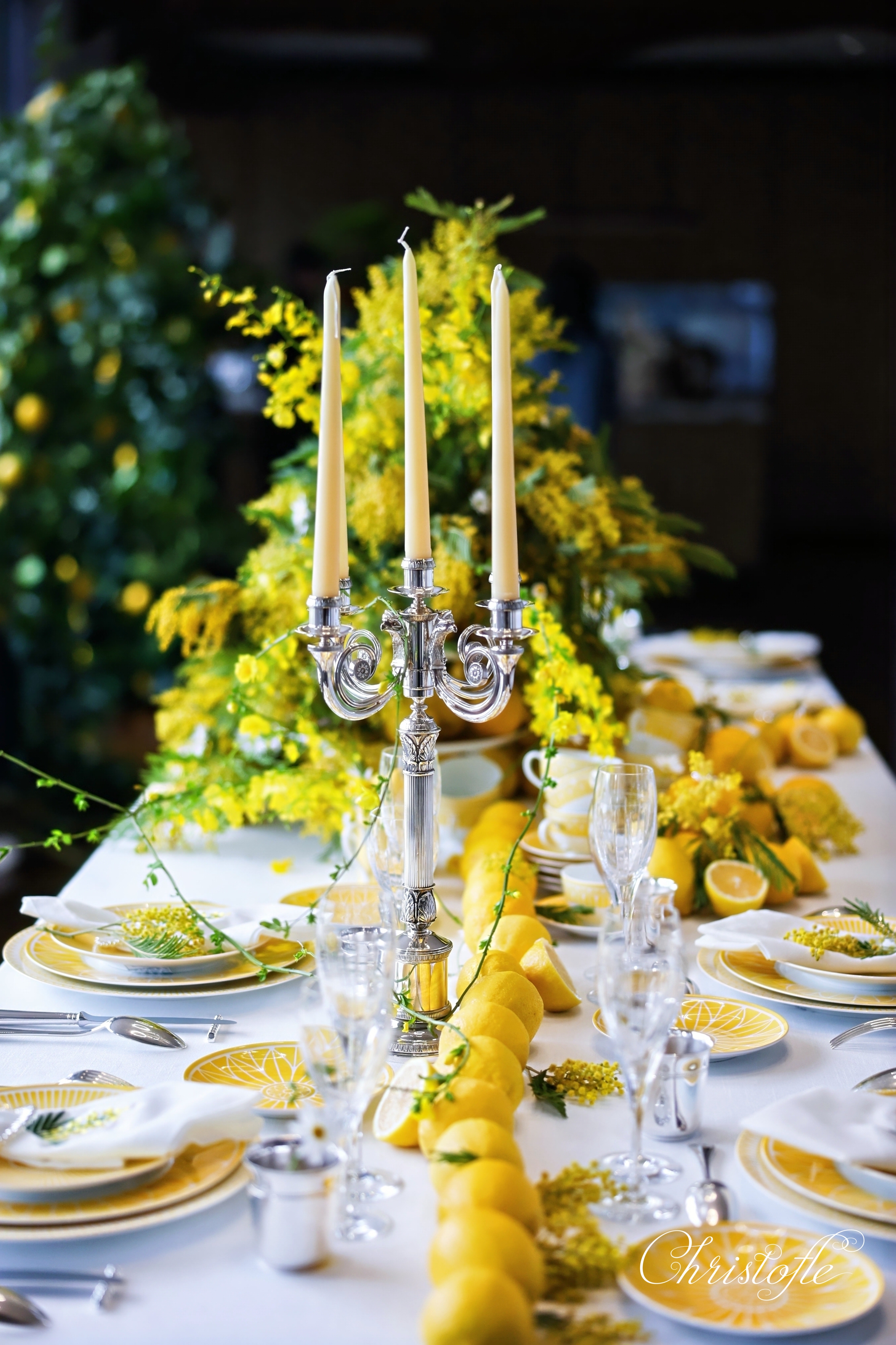 The century - old French silverware family Christofle presented a