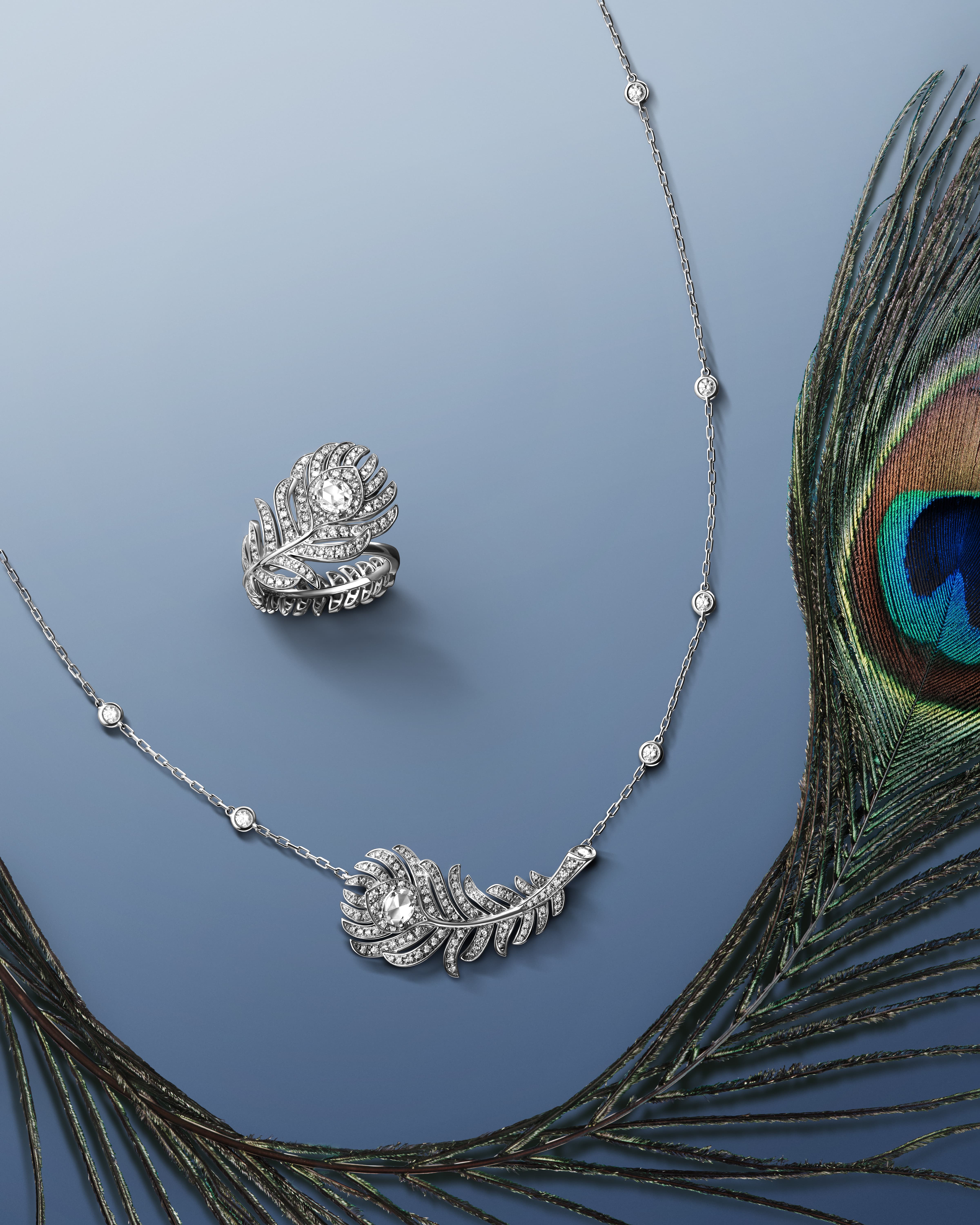 Boucheron宝诗龙Plume+de+Paon系列白金镶钻项链及戒指，小型款.jpg