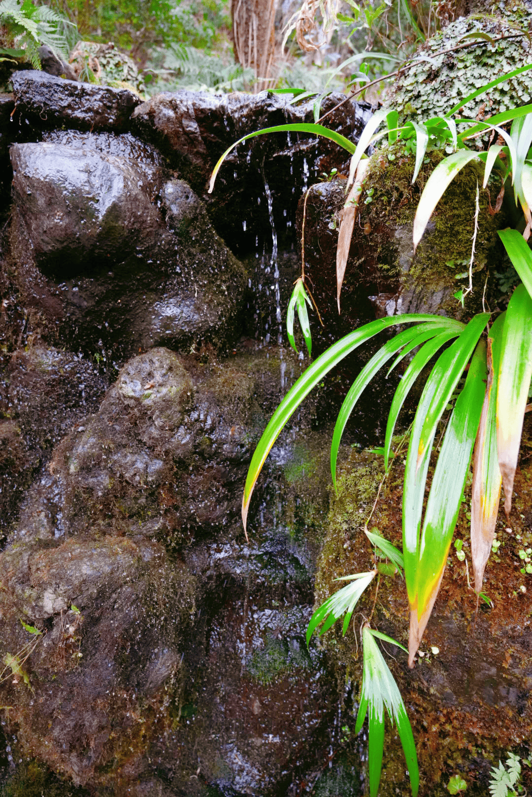 DSC01225.png
