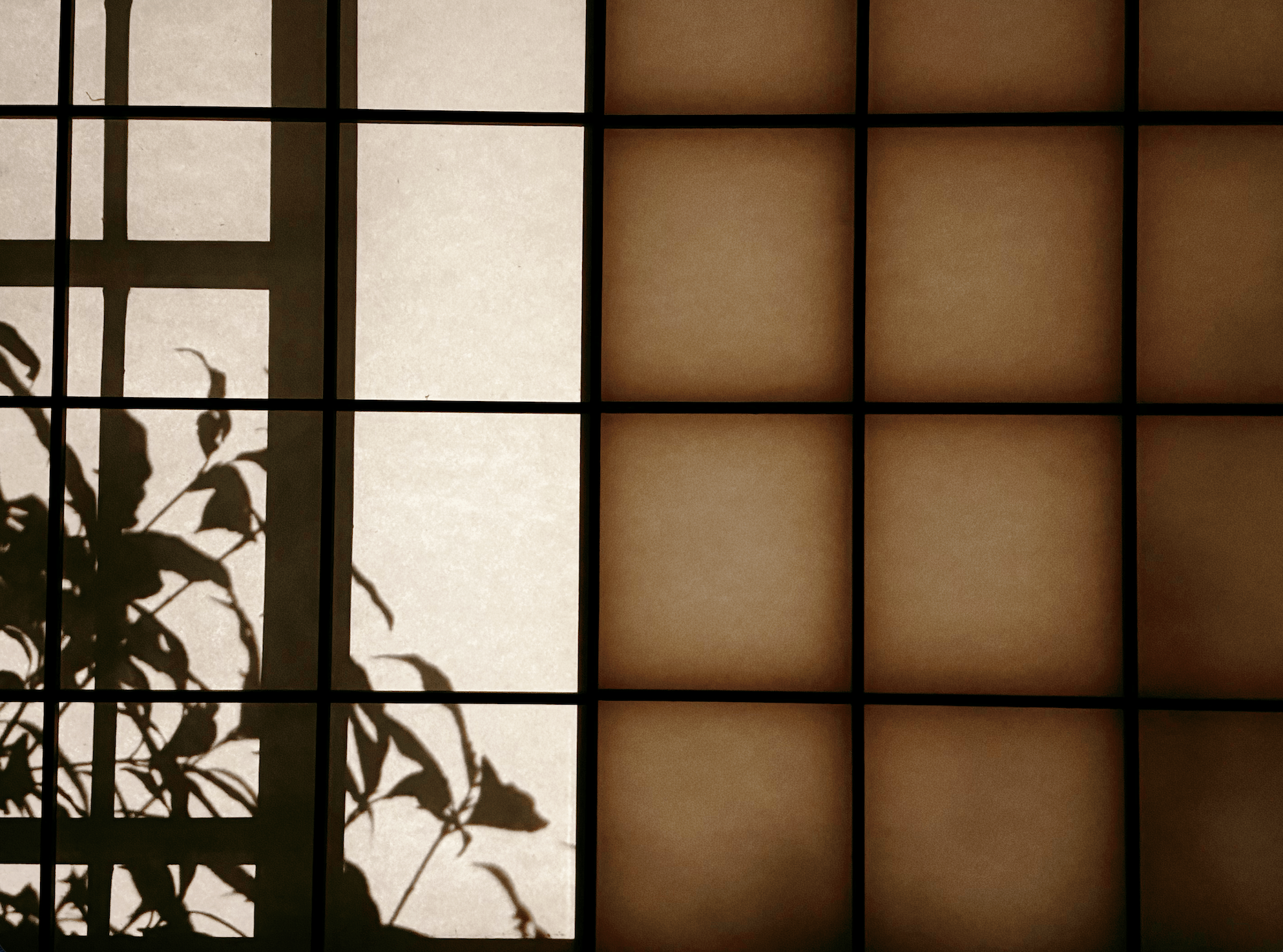 DSC01106.png
