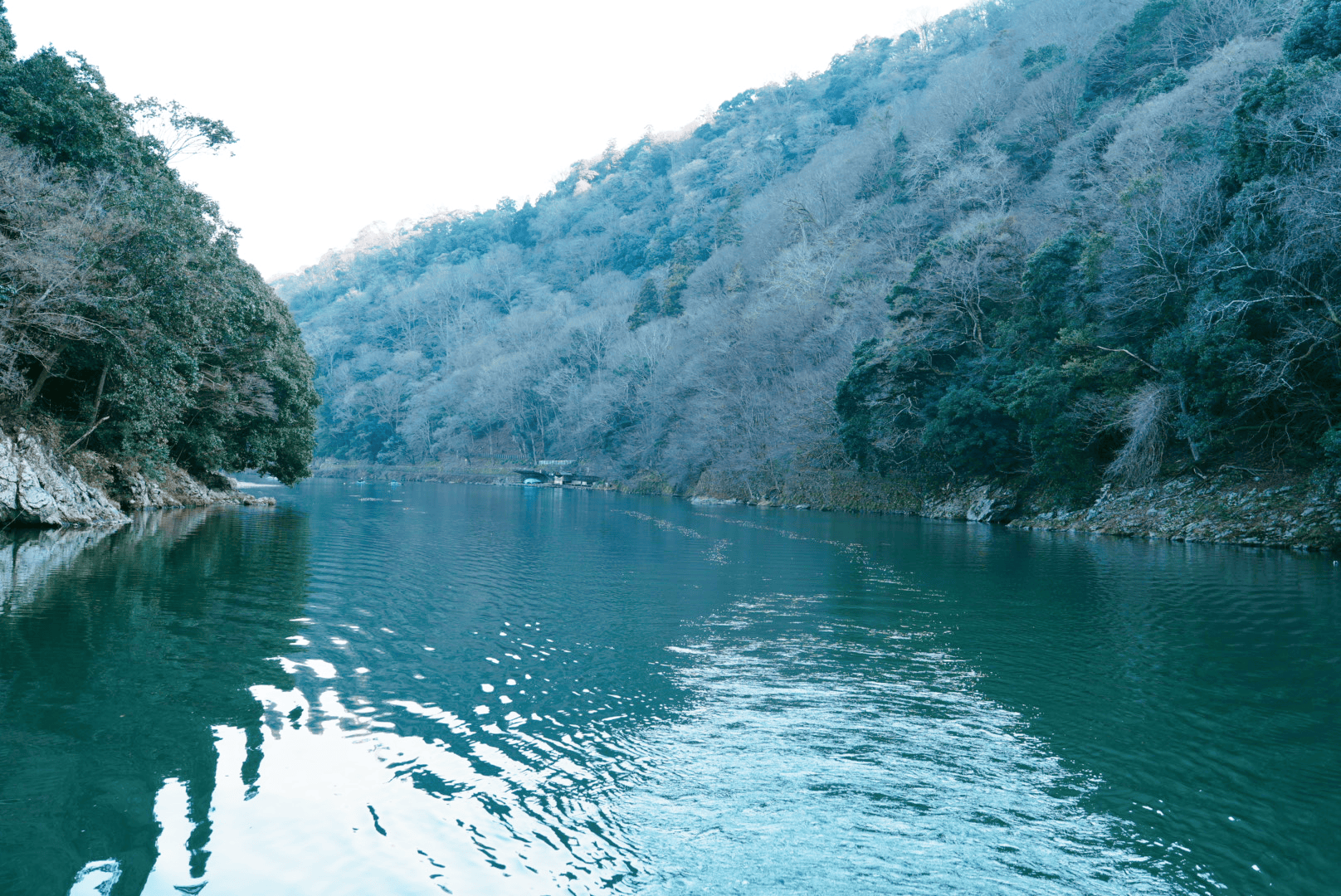 DSC01079.png